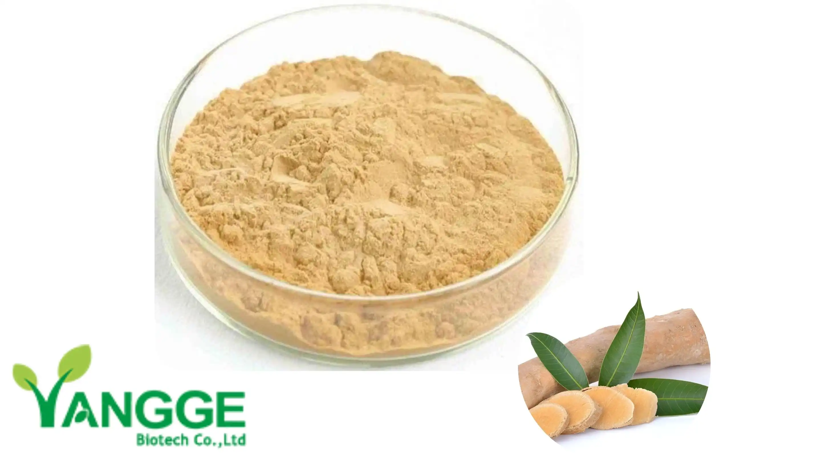 Tongkat ali powder Tongkat ali powder